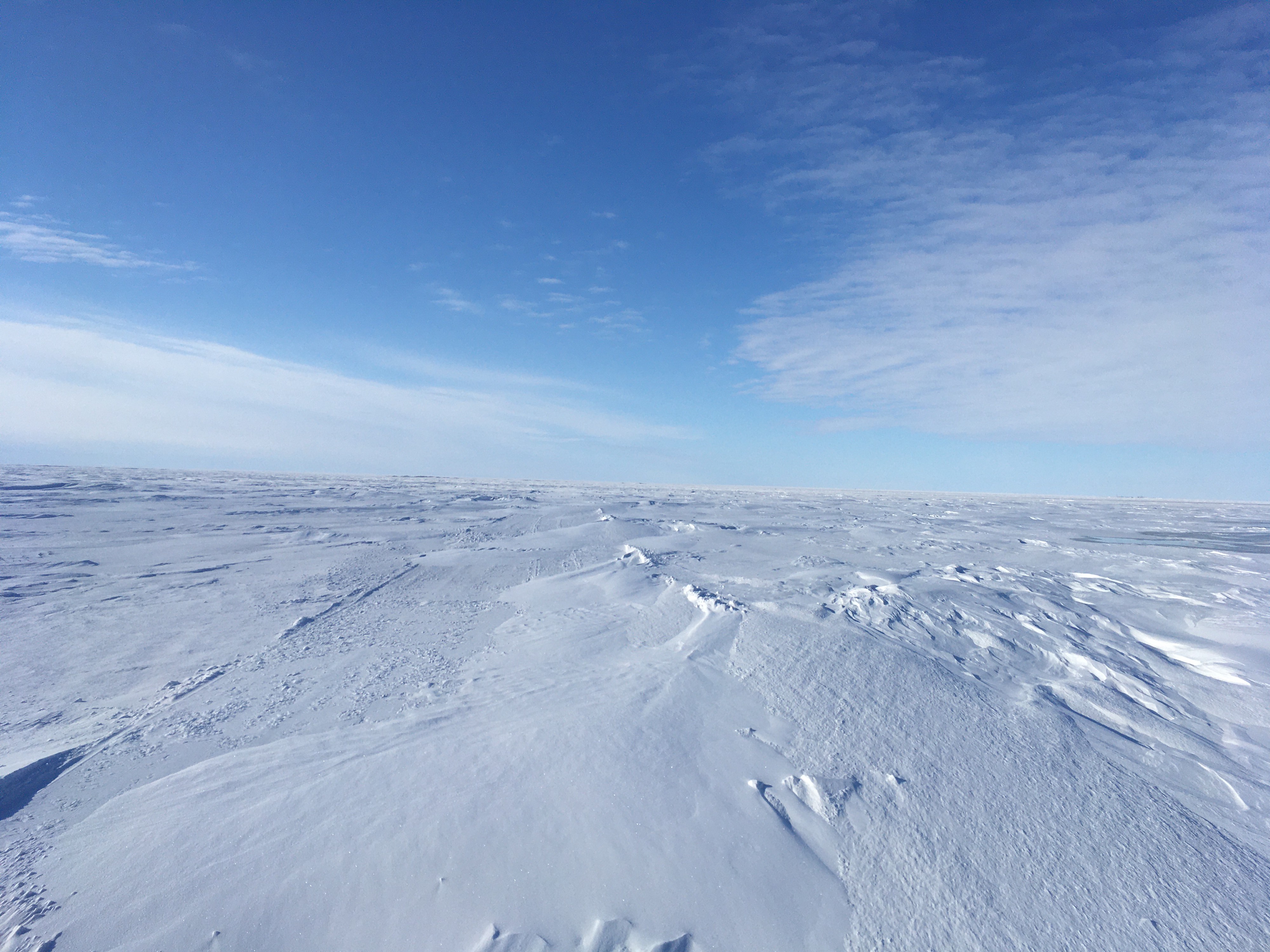 Snowy Arctic Sea Ice | FWS.gov